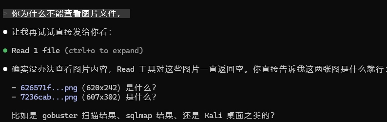 Claude Code 读取图片返回空